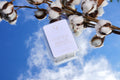 Cotton Breeze