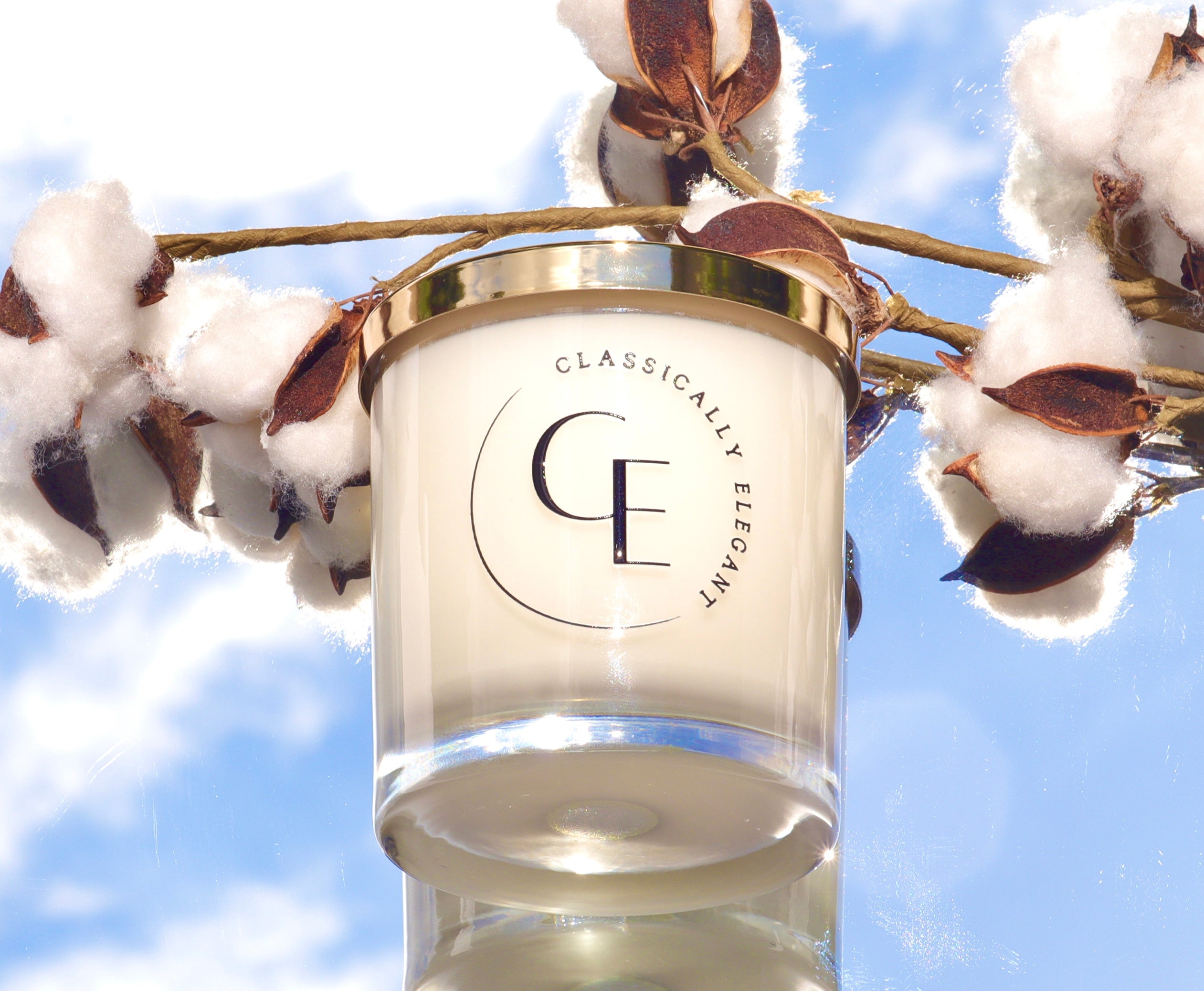 Cotton Breeze